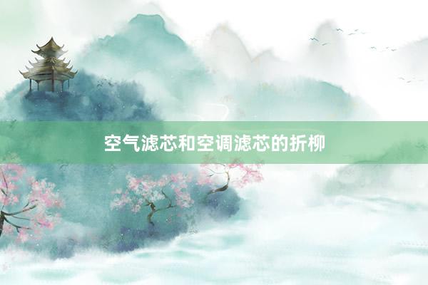 空气滤芯和空调滤芯的折柳