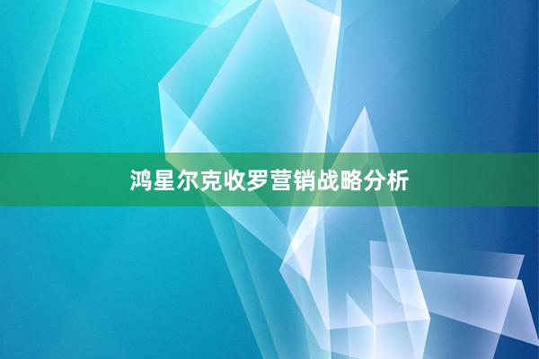 鸿星尔克收罗营销战略分析