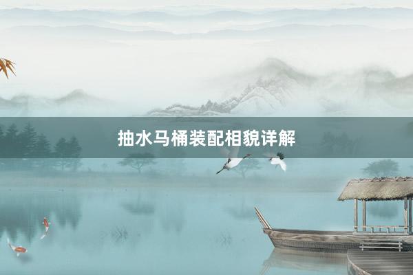 抽水马桶装配相貌详解